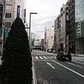 IMG_6916.jpg