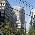 IMG_6931.jpg