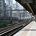 IMG_6932.jpg