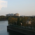 IMG_6945.JPG