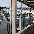 IMG_6946.jpg