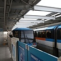 IMG_6959.jpg