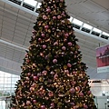 IMG_6968.jpg