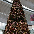 IMG_6969.jpg