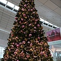 IMG_6970.jpg