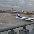 IMG_6973.JPG