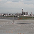IMG_6980.JPG