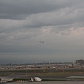 IMG_6982.JPG