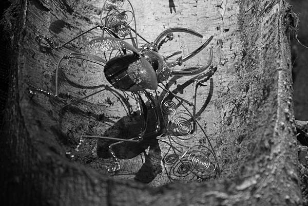 相片實驗室 - 特效百匯 - 黑白