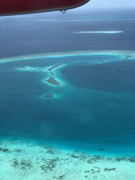 IMG_0594 IMG_0594