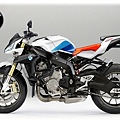 (S1000RR 無罩版).jpg