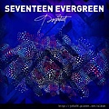 Seventeen Evergreen (7).jpg