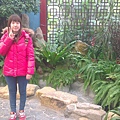 IMAG0316.jpg