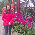 IMAG0314.jpg