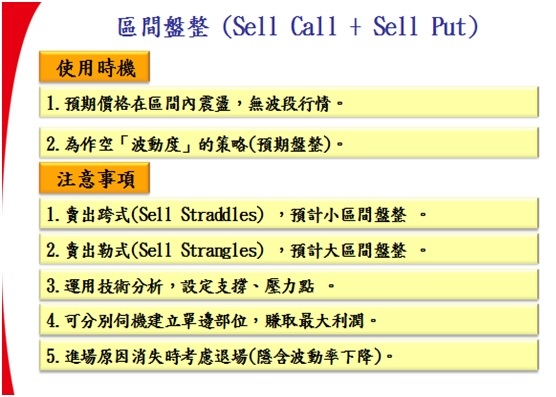 選擇權組合12