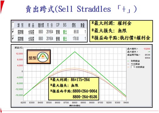 選擇權組合13