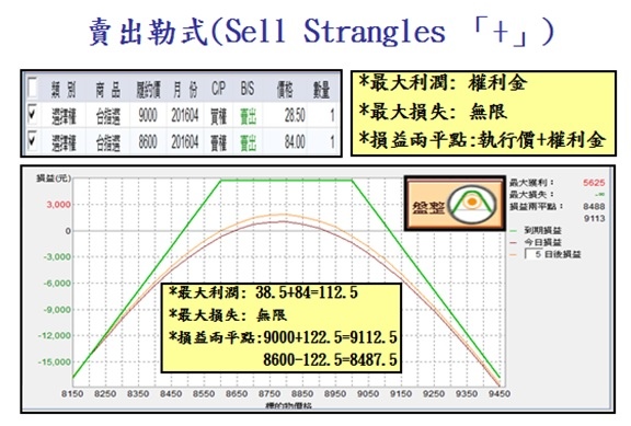 選擇權組合14