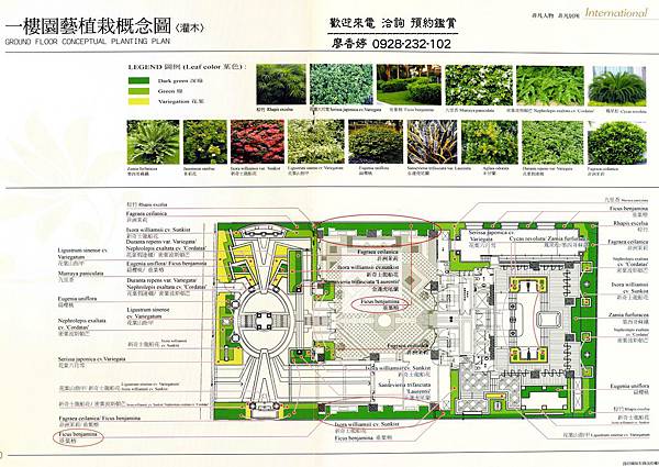 台中七期豪宅-銳豐建設-銳豐四季花園-廖香婷0928232102 (86).jpg