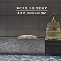 台中好宅 惠宇建設 清朗 敦北 開朗 千曦 國美館 大其心 觀市政 五十七間堂 PARK 23  樂觀 一森青 敦南 禮仁 新觀 原山 大聚 上晴 天青 富山居 山曦 宇山鄰 仁美 寬心 仰德 澄品 晴山 青田 可觀 科博仰森 一方庭 大容廖香婷0965520580歡迎預約鑑賞 委託銷售(26).jpg