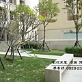 台中七期 大城建設 大城三月花見 大城一月春語 大城七月沐樂 大城八月小確幸 大城樂好事 大城四季山妍 大城五月天嵐 大城雲杉 大城九月采掬 大城梧同  大城六月微風 大城仰望 大城興大湛 大城朗雲 大城香榭 大城新紐約 大城比佛利 大城凱旋門 大城佛羅里達 大城四月泊樂 大城十二月滿 大城仰雲 廖香婷0928232102 歡迎預約鑑賞 請電 0965520580 (6).jpg