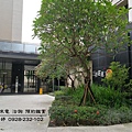 台中七期 大城建設 大城三月花見 大城一月春語 大城七月沐樂 大城八月小確幸 大城樂好事 大城四季山妍 大城五月天嵐 大城雲杉 大城九月采掬 大城梧同  大城六月微風 大城仰望 大城興大湛 大城朗雲 大城香榭 大城新紐約 大城比佛利 大城凱旋門 大城佛羅里達 大城四月泊樂 大城十二月滿 大城仰雲 廖香婷0928232102 歡迎預約鑑賞 請電 0965520580 (2).jpg
