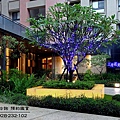 台中七期 大城建設 大城三月花見 大城一月春語 大城七月沐樂 大城八月小確幸 大城樂好事 大城四季山妍 大城五月天嵐 大城雲杉 大城九月采掬 大城梧同  大城六月微風 大城仰望 大城興大湛 大城朗雲 大城香榭 大城新紐約 大城比佛利 大城凱旋門 大城佛羅里達 大城四月泊樂 大城十二月滿 大城仰雲 廖香婷0928232102 歡迎預約鑑賞 請電 0965520580 (5).jpg