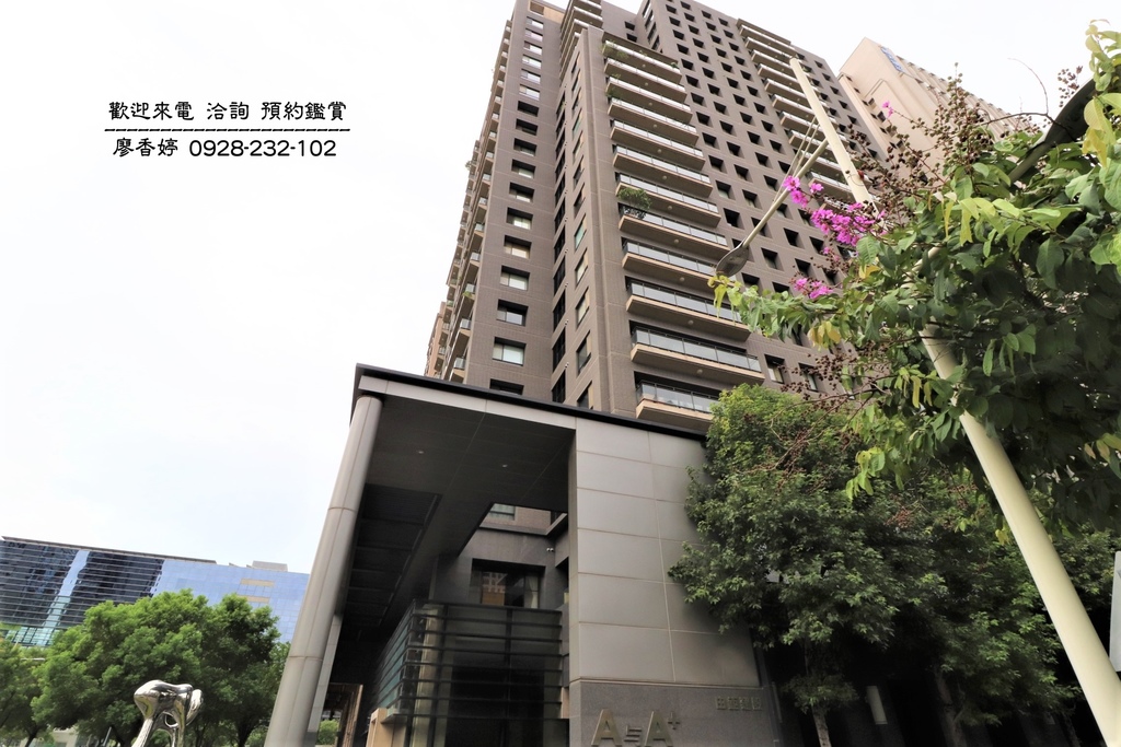 台中七期豪宅 由鉅建設 A與A+ 廖香婷0965520580 (12).JPG