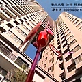 台中七期豪宅 由鉅建設 理性與感性 廖香婷0965520580 (10).jpg