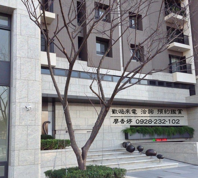 台中好宅 新業建設 新業睿智 新業觀峰 新業大塊森鄰 廖香婷0965520580歡迎預約鑑賞 委託銷售(10).jpg