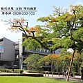 台中西屯區環境照片-東海大學_路思義教堂  廖香婷 0965520580(2).jpg