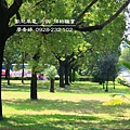 台中東區環境照片-東光園道  廖香婷 0965520580 歡迎鑑賞 (4).jpg