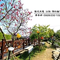 台中烏日區環境照片-芬園花卉生產休憩園區  廖香婷 0965520580(1).jpg