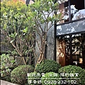 台中好宅 西區 富旺國際開發 富旺國美天藏 廖香婷 歡迎預約鑑賞 請電 0965520580 (18).jpg