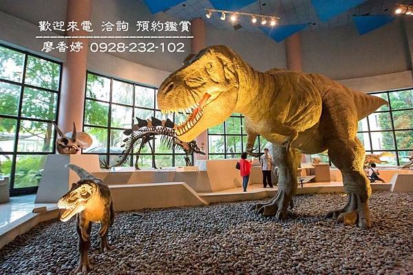 台中西區環境照片-國立自然科學博物館(2).jpg