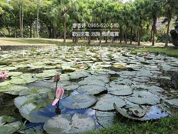 台中北屯區環境照片-舊社公園2.jpg