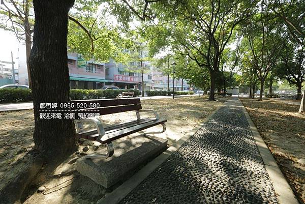 台中東區環境照片-東光園道 (1).jpg