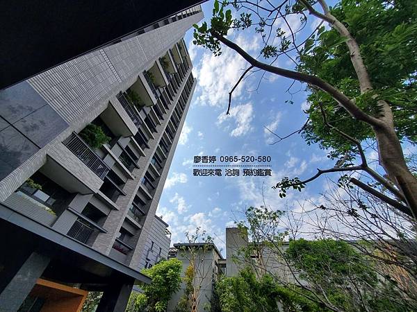 台中好宅 單元二 新業建設 新業大塊森鄰 廖香婷 0965-520-580 歡迎預約鑑賞033.jpg