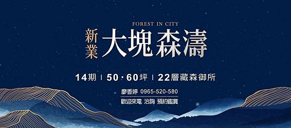 台中好宅 北屯區  新業建設 新業大塊森濤 廖香婷 0965-520-580 歡迎預約鑑賞016.jpg