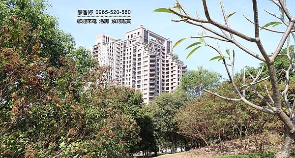 台中好宅 南屯區 精銳建設 精銳海德一號  廖香婷0965520580歡迎預約鑑賞 委託銷售(31).JPG