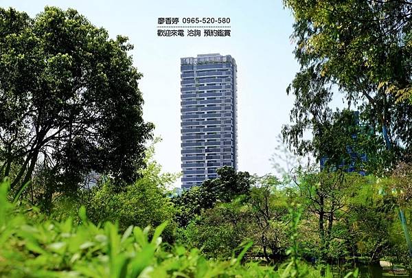 台中好宅 森林公園特區 太子建設 太子咸亨 廖香婷 0965-520-580 歡迎預約鑑賞005.jpg