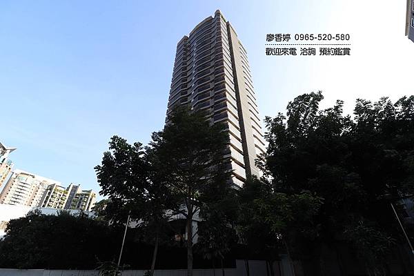 台中好宅 森林公園特區 太子建設 太子咸亨 廖香婷 0965-520-580 歡迎預約鑑賞009.JPG