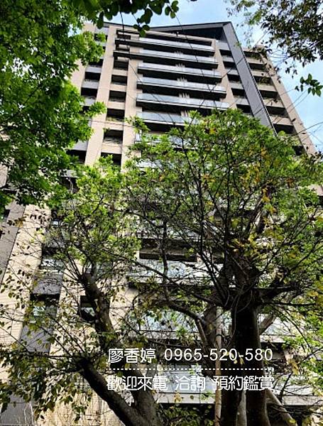 台中好宅 南屯區 惠宇建設 惠宇上晴 廖香婷 0965-520-580 歡迎預約鑑賞010.jpg