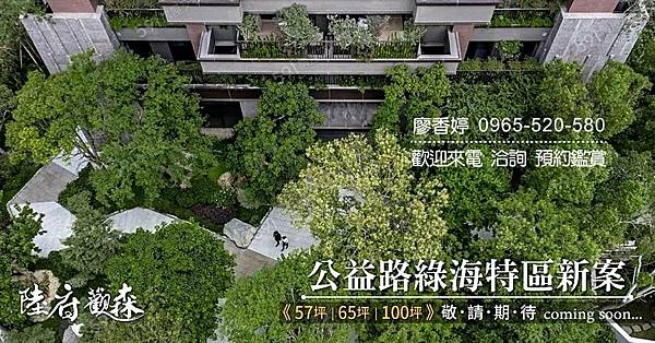 台中單元二  陸府建設 陸府觀森 廖香婷 0965-520-580 歡迎預約鑑賞020.jpg