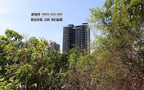 台中好宅 南屯區 總太建設 總太天匯 廖香婷 0965-520-580 歡迎預約鑑賞021.jpg