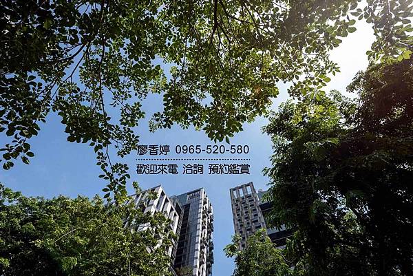 台中好宅 五期重劃區 磐鈺建設 磐鈺雲華 廖香婷 0965-520-580 歡迎預約鑑賞011.jpg