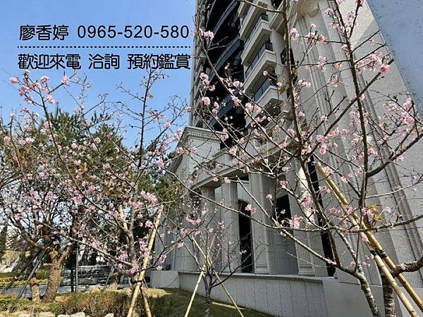 台中好宅 單元二 雙橡園建設 雙橡園1812 廖香婷 0965-520-580 歡迎預約鑑賞022.jpg