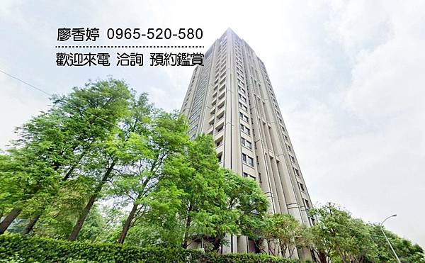 台中好宅 單元二 精銳建設 精銳博 廖香婷 0965-520-580 歡迎預約鑑賞010.jpg