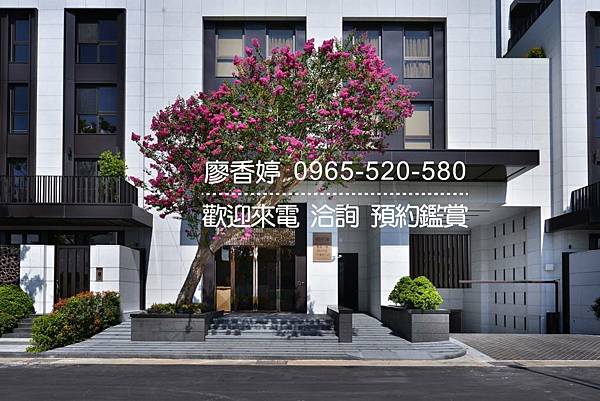 台中好宅 單元二 精銳建設 精銳花千樹 廖香婷 0965-520-580 歡迎預約鑑賞001.jpg