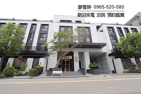 台中好宅 單元二 精銳建設 精銳花千樹 廖香婷 0965-520-580 歡迎預約鑑賞007.JPG