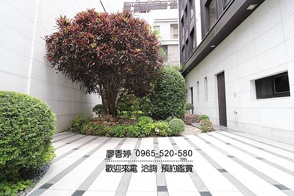 台中好宅 單元二 精銳建設 精銳花千樹 廖香婷 0965-520-580 歡迎預約鑑賞026.JPG